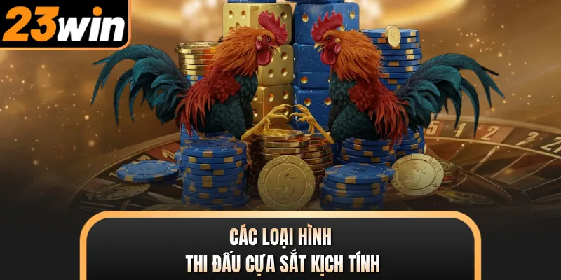 Các loại hình thi đấu cựa sắt kịch tính