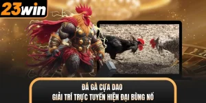 Đá Gà Cựa Dao - Giải Trí Trực Tuyến Hiện Đại Bùng Nổ