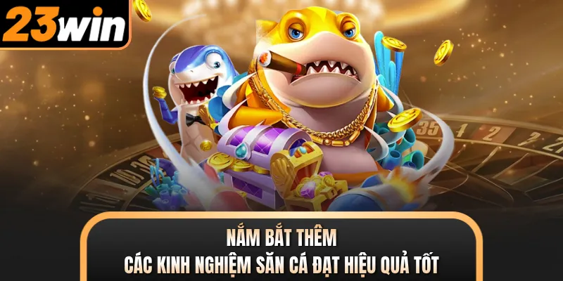 Nắm bắt thêm các kinh nghiệm săn cá đạt hiệu quả tốt